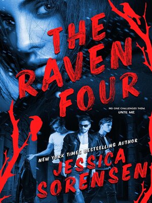 cover image of Raven Four